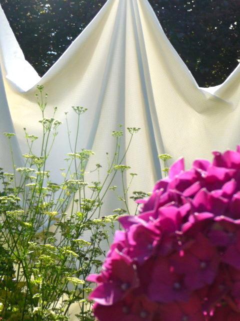 Bed and Breakfast Magnolia Petal Fernwood Exterior foto