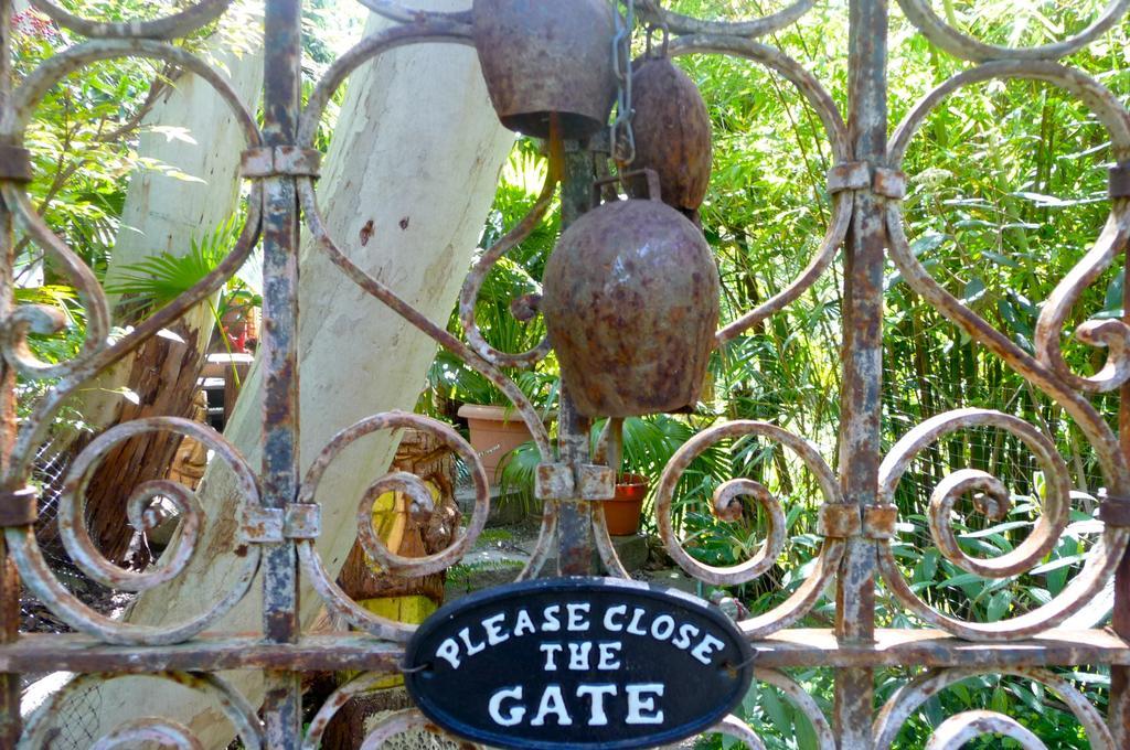 Bed and Breakfast Magnolia Petal Fernwood Exterior foto